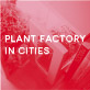 Plant factory in cities