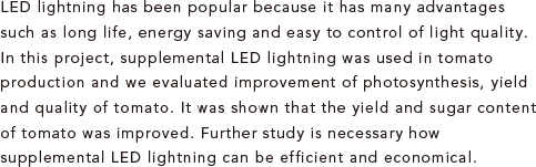 LED lightning has been popular because it has many advantages such as long life, energy saving and easy to control of light quality. In this project, supplemental LED lightning was used in tomato production and we evaluated improvement of photosynthesis, yield and quality of tomato. It was shown that the yield and sugar content of tomato was improved. Further study is necessary how supplemental LED lightning can be efficient and economical.