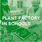 Plant factory in schools