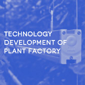 Technology development of plant factory
