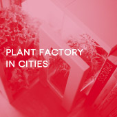 Plant factory in cities