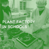 Plant factory in schools