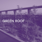 Green roof