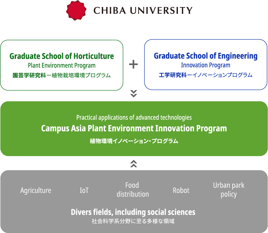 CHIBA UNIVERSITY