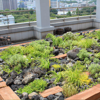 城ケ崎海岸の植物を利用した屋上緑化