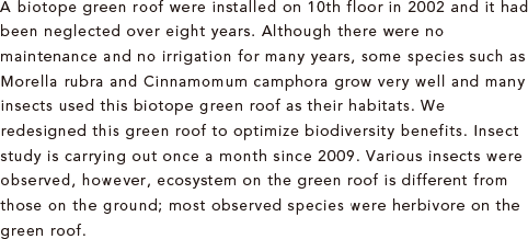 A biotope green roof were installed on 10th floor in 2002 and it had been neglected over eight years. Although there were no maintenance and no irrigation for many years, some species such as Morella rubra and Cinnamomum camphora grow very well and many insects used this biotope green roof as their habitats. We redesigned this green roof to optimize biodiversity benefits. Insect study is carrying out once a month since 2009. Various insects were observed, however, ecosystem on the green roof is different from those on the ground; most observed species were herbivore on the green roof.