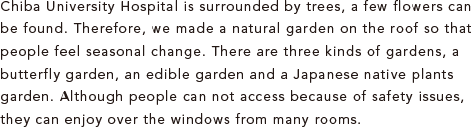 Chiba University Hospital is surrounded by trees, a few flowers can be found. Therefore, we made a natural garden on the roof so that people feel seasonal change. There are three kinds of gardens, a butterfly garden, an edible garden and a Japanese native plants garden. Although people can not access because of safety issues, they can enjoy over the windows from many rooms. 