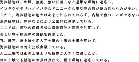 海岸植物は、乾燥、強風、強い日差しなど過酷な環境に適応し、
			イソギクやテリハノイバラなどユニークな葉や花の形が魅力的なものが多い。
			しかし、海岸植物の魅力はあまり知られておらず、内陸で育つことができない
			海岸植物は、開発などにより全国的に減少している。
			ここでは、植物の保護多様な海岸植物と溶岩を利用して、
			美しい城ヶ崎海岸の景観を再現した。
			瓦、軽石、屋上緑化用人工土壌の3種の土壌を用いて、
			海岸植物の生育を比較実験している。
			人工土壌では他の土壌よりも植物が大きく成長したが、
			他の土壌でも植物の生長は良好で、屋上環境に適応している。