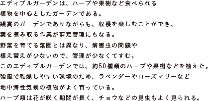 エディブルガーデンは、ハーブや果樹など食べられる植物を中心としたガーデンである。
			観賞のガーデンでありながらも、収穫を楽しむことができ、
			葉を摘み取る作業が剪定管理にもなる。
			野菜を育てる菜園とは異なり、病害虫の問題や植え替えが少ないので、管理が少なくてすむ。
			このエディブルガーデンでは、約50種類のハーブや果樹などを植えた。
			強風で乾燥しやすい環境のため、ラベンダーやローズマリーなど
			地中海性気候の植物がよく育っている。
			ハーブ類は花が咲く期間が長く、チョウなどの昆虫もよく見られる。