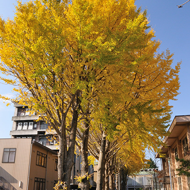 fall
