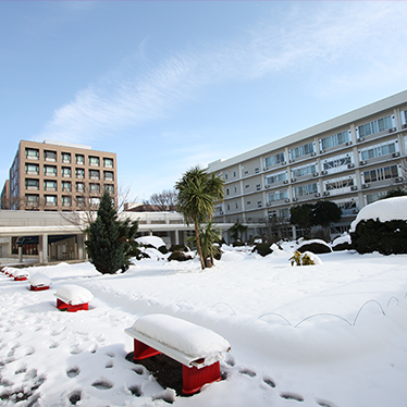 winter