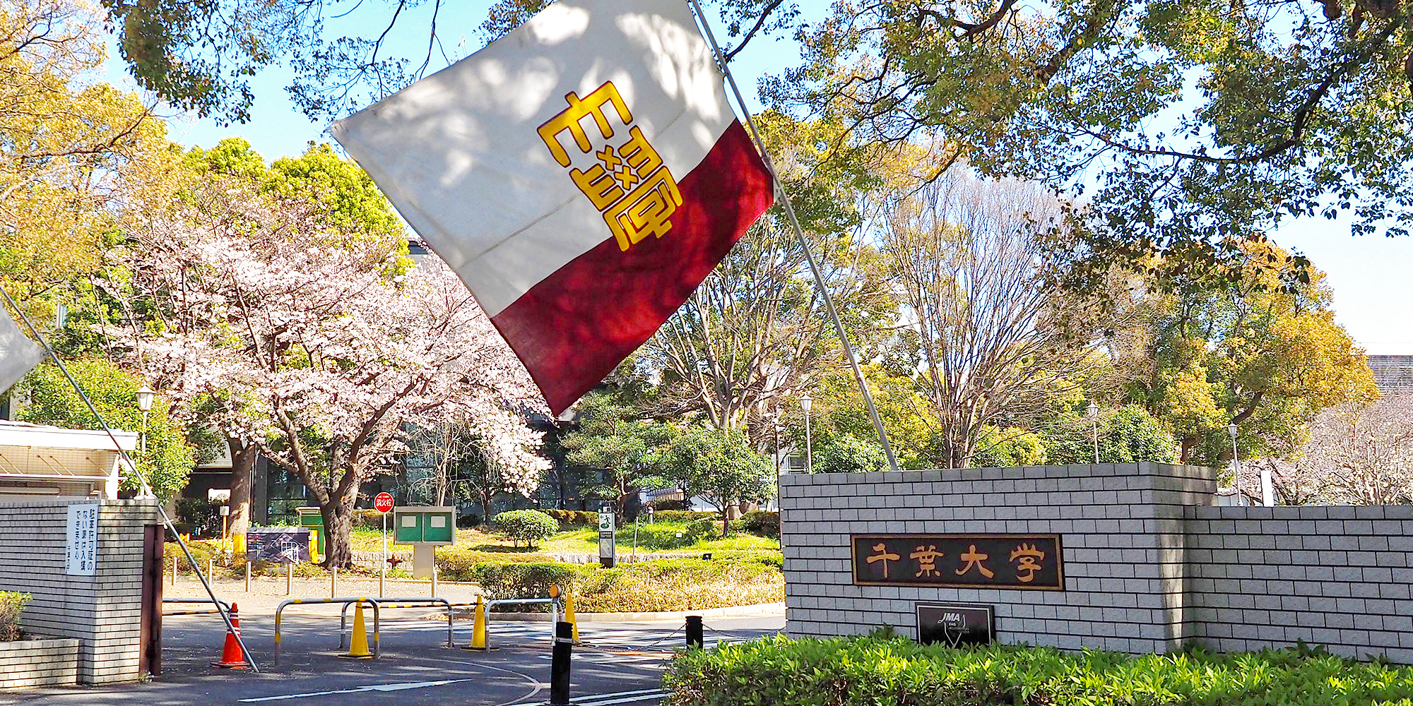 About Chiba University