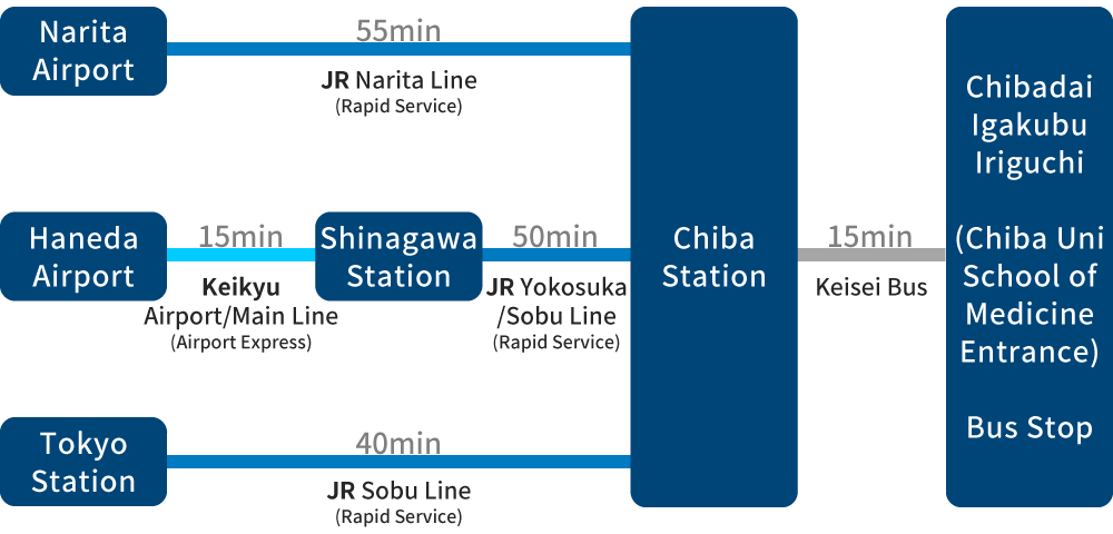 chart_access_inohana