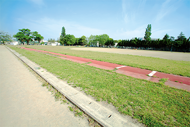 Track and field (ground)