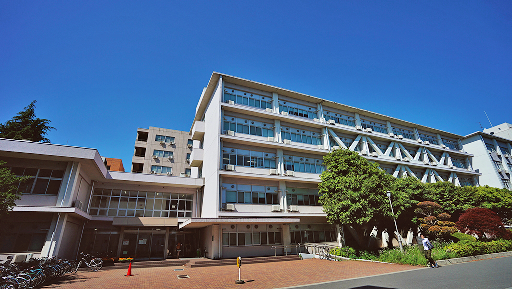 Faculty of Letters