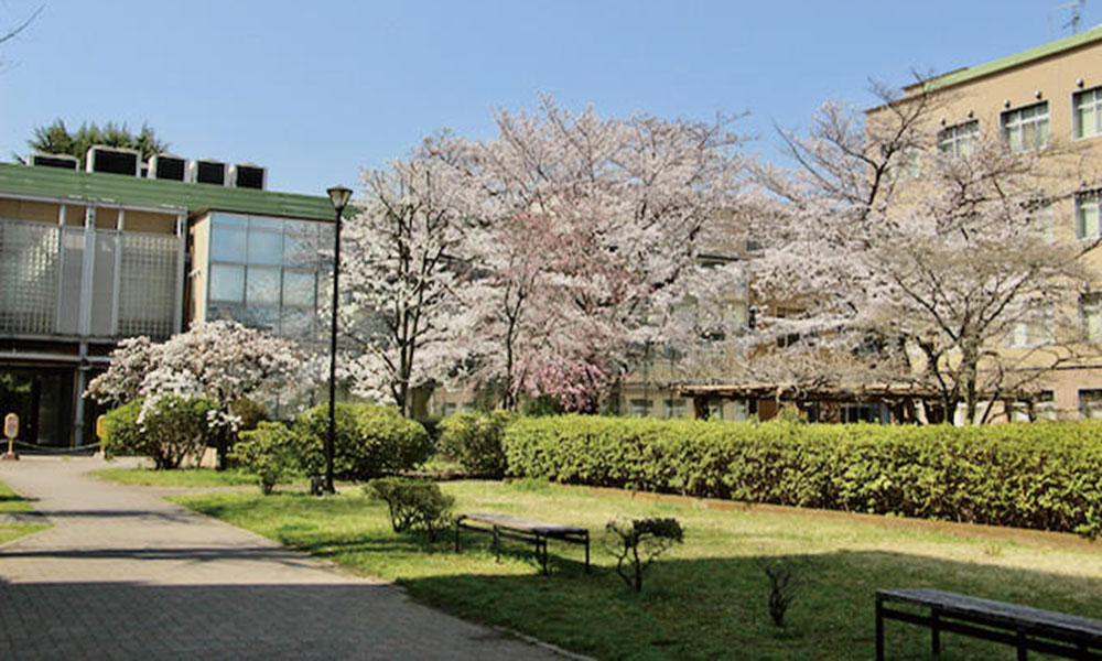 Graduate School of Nursing