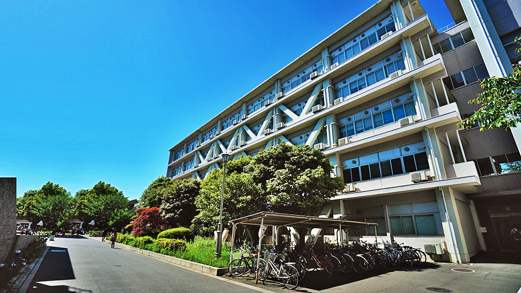 Faculty of Law, Politics and Economics