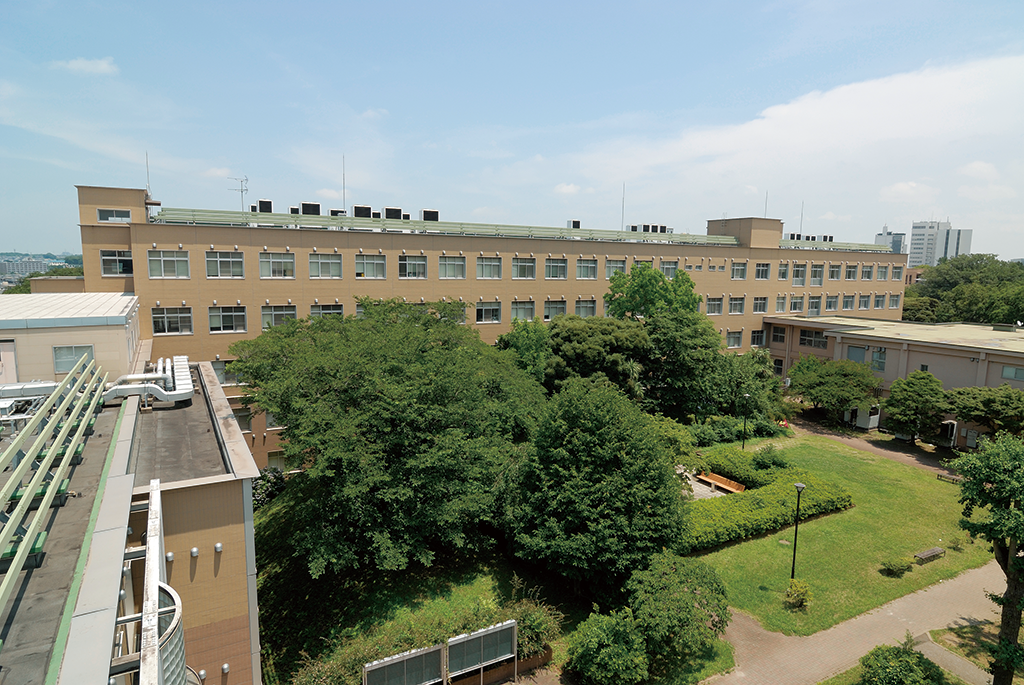 School of NursingSchool of Nursing National University Corporation Chiba University