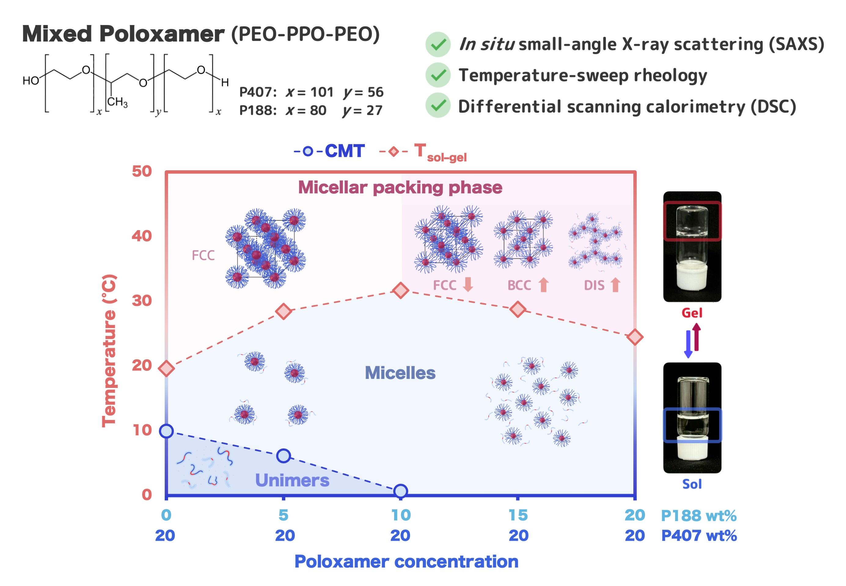 Study on how the behavior of poloxamer mixtures evolves depending on temperature and concentration