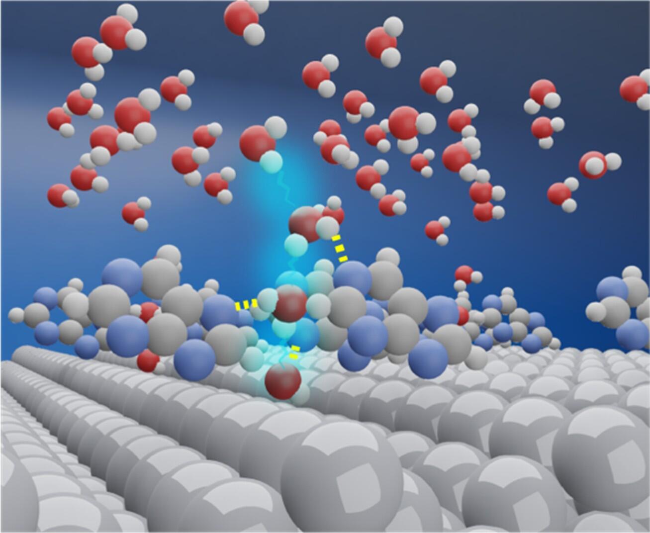 Purine-modified platinum electrodes boost hydrogen production