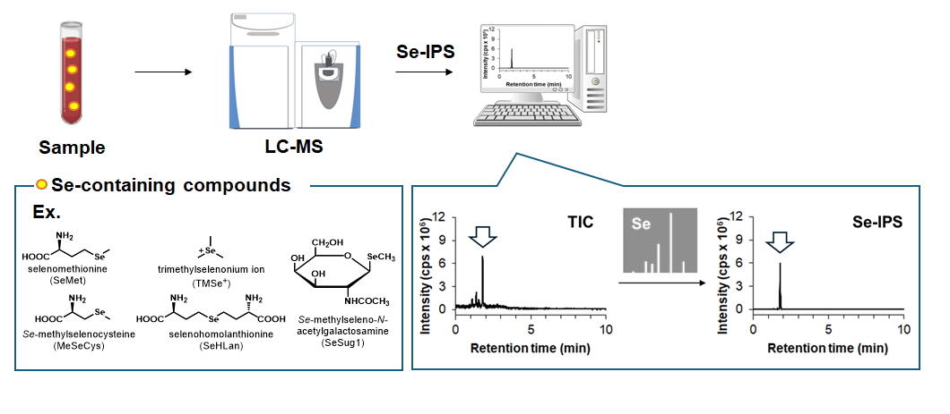 LC-Q-Orbitrap Mass Spectrometer Enables High-Precision Se Analysis