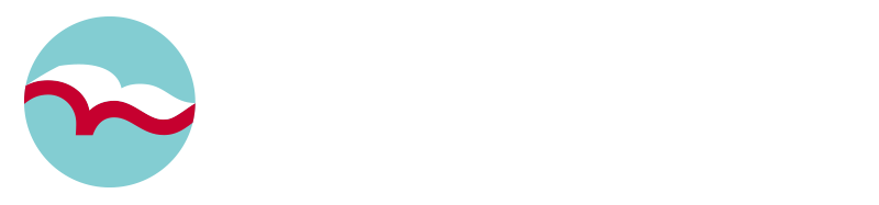 CHIBADAI NEXT