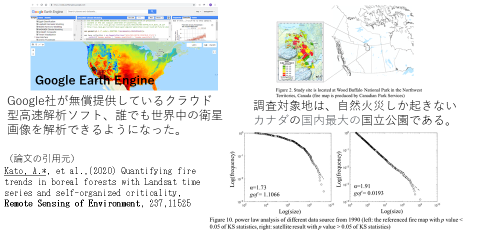 衛星画像から把握した森林火災の傾向