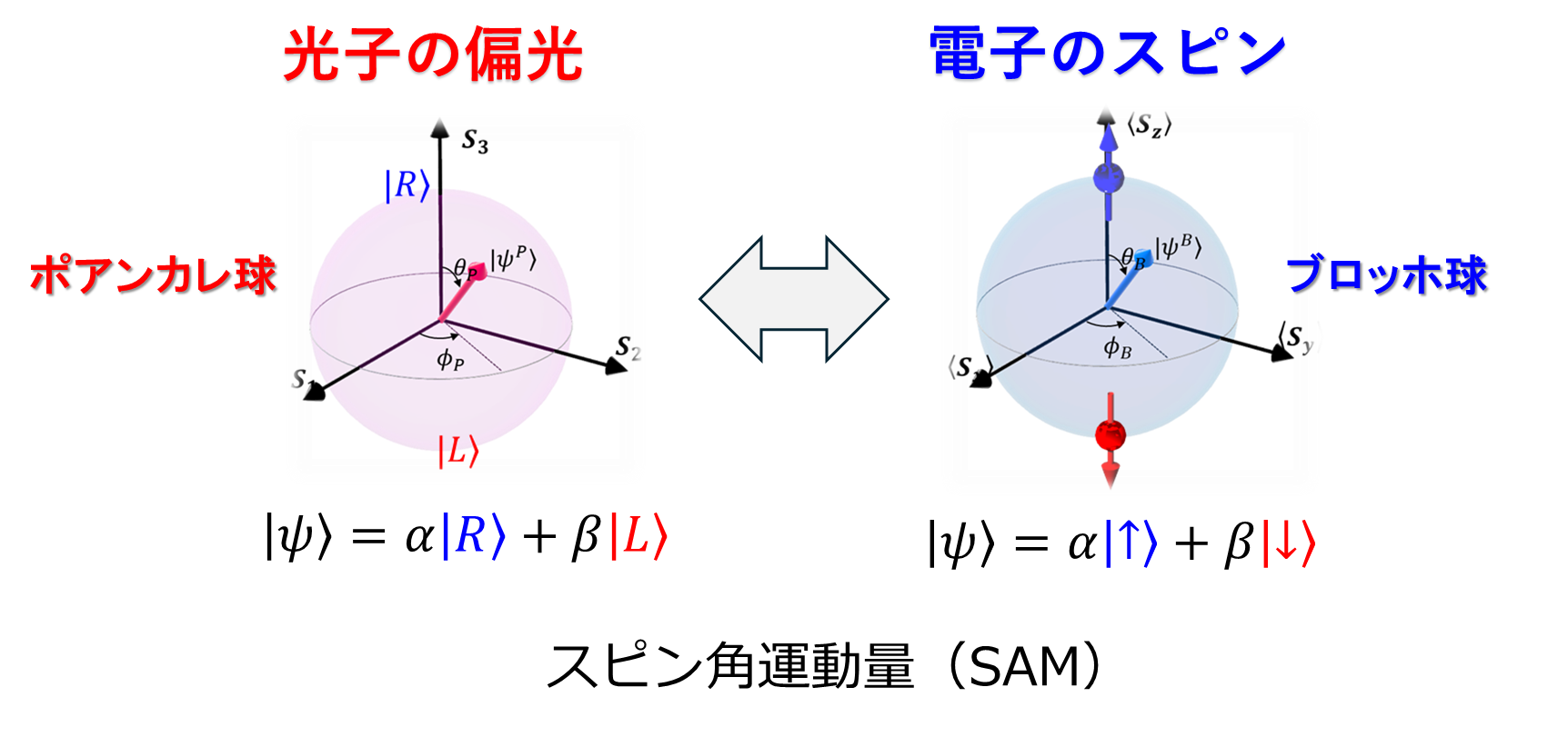 図1