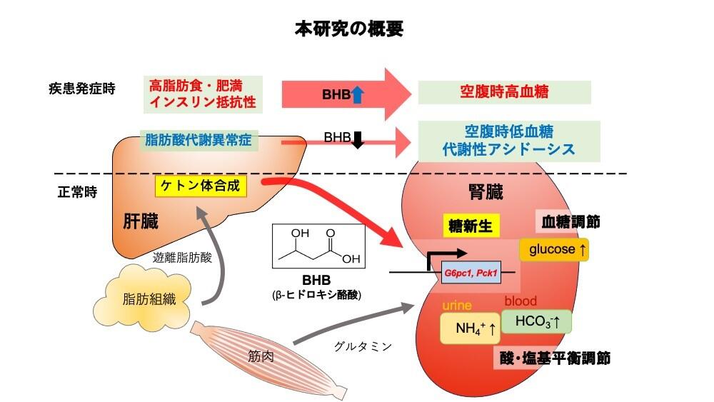 本研究の概要