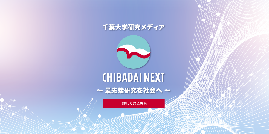 CHIBADAI NEXT